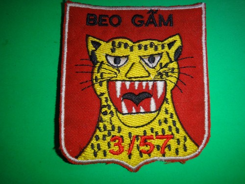 Patch arvn battaglione - 3°,